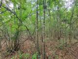 20122 Meadow Lake Road - Photo 15