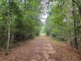 20122 Meadow Lake Road - Photo 2