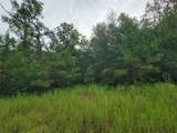 20122 Meadow Lake Road - Photo 9