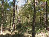 000 County Road 2125 - Photo 5