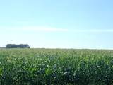 00 County Road 403 - Photo 2
