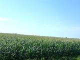 00 County Road 403 - Photo 6