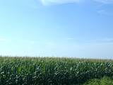 00 County Road 403 - Photo 7