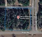 28117 Horse Shoe Lane Lane - Photo 6