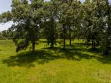 TBD Live Oak Court - Photo 10