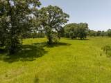 TBD Live Oak Court - Photo 11