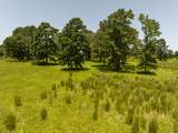 TBD Live Oak Court - Photo 12