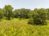 TBD Live Oak Court - Photo 13
