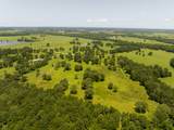TBD Live Oak Court - Photo 14