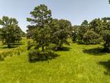 TBD Live Oak Court - Photo 15