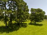 TBD Live Oak Court - Photo 16