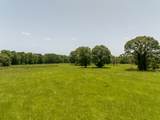 TBD Live Oak Court - Photo 17