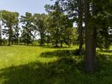 TBD Live Oak Court - Photo 18