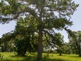 TBD Live Oak Court - Photo 19