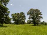 TBD Live Oak Court - Photo 20