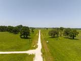 TBD Live Oak Court - Photo 21