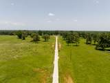 TBD Live Oak Court - Photo 23