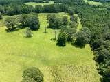 TBD Live Oak Court - Photo 6