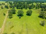 TBD Live Oak Court - Photo 7