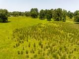 TBD Live Oak Court - Photo 8