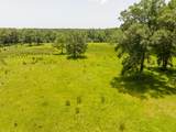 TBD Live Oak Court - Photo 9