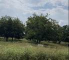 Tract #2 Fm 2548 - Photo 8