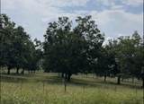 Tract #2 Fm 2548 - Photo 9