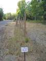 00 Cr 421 - Photo 4