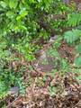 706 Hayman Street - Photo 7
