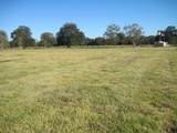 4129 Fm 524 Road - Photo 6