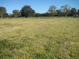 4129 Fm 524 Road - Photo 7
