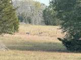 1399 Star Hill Road - Photo 44