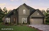 8423 Crab Blossom Drive - Photo 1