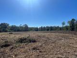 3607 12th Street - Photo 11