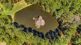 14419 Timbergreen Drive - Photo 42