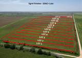 Lot 4 County Road 271 - Photo 5