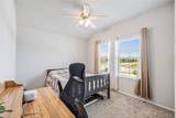 22627 Petrizzi Lane - Photo 18