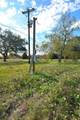 2423 Roy Road - Photo 6