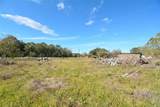 2423 Roy Road - Photo 7
