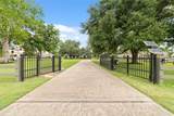 32030 Wendt Park Trace - Photo 3