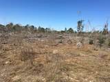 Lot 8 County Road 175 - Photo 4