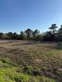 9480 Cedar Creek Lane - Photo 2
