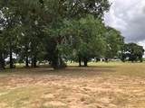 150 Lawrence Marshall    Lot 34 Drive - Photo 13
