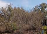 425 County Road 5041 - Photo 2