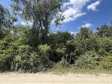 13657 County Road 164 - Photo 4