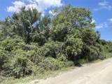 13657 County Road 164 - Photo 5