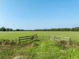 TBD County Road 155 - Photo 14