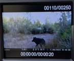 00000 Fm 2989 - Photo 13