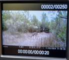 00000 Fm 2989 - Photo 14