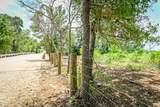 000 County Road 447 - Photo 13